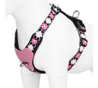 Dog Harness for Small Dogs No Pull Adjustable - Step-in with Genuine Leather Panel for Small, Medium and Large Dogs & Cats - Leash Option for Walking and Training, Black Rose