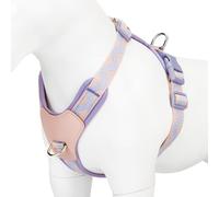 Dog Harness for Small Dogs, No Pull Adjustable - Step-in with Genuine Leather Panel for Small, Medium and Large Dogs & Cats - Leash Option for Walking and Training, Pink/Purple, S