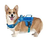Dog Harness for Small Dogs, No Pull No Choke Heavy Duty Tactical Dog Harness, Easy to Put on and Take Off Pet Vest with Molle System, Adjustable Reflective Dog Vest with