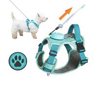 Dog Harness for Small Dogs up to 16lbs, 3-in-1 No Pull Lightweight Harness with 6.6ft Retractable,Wearable Leash,Front Clip,Handle,Reflective Dog Vest with Patch,Wrist Strap,Free Hand Leash-Blue (XXS)