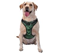 Dog Harness for Small Medium Large Dogs, Reflective & Adjustable with Quick Release Buckles Azure Pine Green