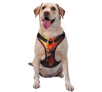 Dog Harness for Small Medium Large Dogs, Reflective & Adjustable with Quick Release Buckles Chaos and Disorder