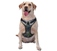 Dog Harness for Small Medium Large Dogs, Reflective & Adjustable with Quick Release Buckles Mountain Temple