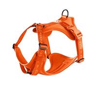 Dog Harness for Small to Medium Dogs, Sizes XS-L with Soft Lycra Padding, Adjustable Chest Harness, Dog Chest Harness for Walking the Dog (Orange, S)