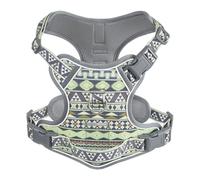 Dog Harness for X-Small Dog Breed, Light Pet Vest Harness with 2 Leash Clips and 3 Buckles, Easy to Wear, Adjustable Reflective Soft Padded, Boston Terrier, Poodles, XS