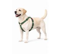 Dog Harness H-shape Ziggi Khaki L 60-85cm 70-100cm 25mm