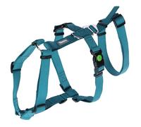 Kerbl Miami Panic Harness (Petrol, Neck Circumference 30-41 cm, Chest Circumference 42-55 cm, Waist Circumference 34-53 cm, Harness) 80041