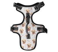 Dog Harness Labrador Bones No Pull Reflective Adjustable Dog Vest with 2 Leash Clips and Easy Control Handle for Small Medium Dogs Cats M