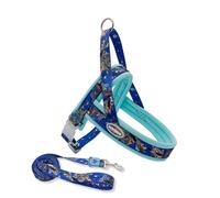 Dog Harness Lead Set,Adjustable Step-in Pet Escape Proof Harness with Close Control Handle,Dog Vest Harness for Walking, Hiking & Lifting Dogs into Car or Up Stairs_M(Blue)