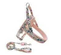 Dog Harness Lead Set,Adjustable Step-in Pet Escape Proof Harness with Close Control Handle,Dog Vest Harness for Walking, Hiking & Lifting Dogs into Car or Up Stairs_M(Pink)