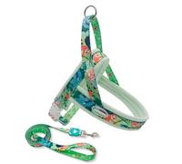 Dog Harness Lead Set,Adjustable Step-in Pet Escape Proof Harness with Close Control Handle,Dog Vest Harness for Walking, Hiking & Lifting Dogs into Car or Up Stairs_M(Green)