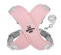 Dog Harness Leash Set No Choke Puppy Vest Escape Proof Harnesses For Small Dogs Comfortable Reflective Breathable Small Dog Vest Air Harness And Leash Set Pulls Escape Boy Girl Reflective Choke