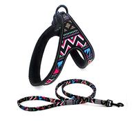 dog harness， Leash Set Reflective Dog Harnesses And Walking Training Dogs Harness Vest For Puppy Large Pet Leashes E S(D,S)