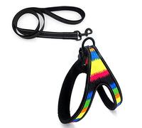 dog harness， Leash Set Reflective Dog Harnesses And Walking Training Dogs Harness Vest For Puppy Large Pet Leashes E S(F,M)