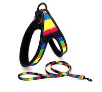 dog harness, Leash Set Reflective Dog Harnesses And Walking Training Dogs Harness Vest For Puppy Large Pet Leashes E S(H,L)