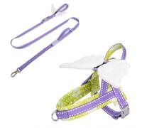 Dog Harness Leash Set with Angel Wings,No Pull Pet Escape Proof Harness with Close Range Control Handle,Step-in Dog Hanress for Samll Medium Large Dogs_M(Green)