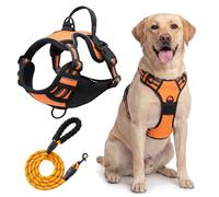 Dog Harness Medium, No Pull Pet Harness, Dog Vest Harnesss, Easy Control Handle for Training or Walking(Orange,XL)
