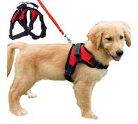 Dog Harness Mesh Breathable Comfortable Pet Vest No Pull Adjustable So
