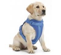 Dog Harness - No Pull Adjustable Front Clip Vest with Soft Padding, 3Leash Clips, and No-Choke Oxford Design Comfort for Small, Medium, and Large Dogs (Cyan Blue, Medium (Neck:15"-19" Chest 22"-30"))
