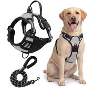 Dog Harness No Pull, Breathable Adjustable Pet Vest, Reflective Oxford Easy Control Dog Harness with Sturdy Handle for Small Medium Large Dogs(Gray,S)