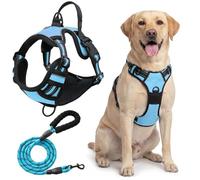 Dog Harness No Pull, Breathable Adjustable Pet Vest, Reflective Oxford Easy Control Dog Harness with Sturdy Handle for Small Medium Large Dogs(Blue,XL)
