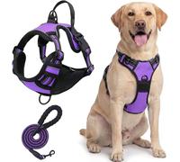 Dog Harness,No Pull Pet,Adjustable Reflective Front Clip With Easy Control Handle,Metal Rings For Training Or Walking(Purple,S)