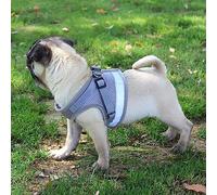 Dog Harness No-Pull Pet Harness Step-in Air Dog Harness, Soft Mesh Cat Harness, Step in Vest Harness Adjustable Outdoor Pet Vest, Reflective Harness for Pet Kitten Puppy Rabbit, (XS)