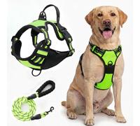 Dog Harness,No Pull Puppy Car Vest And Lead Set,Reflective No-Choke, Essential Pets Accessories For Training Walking(Green,L)