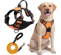 Dog Harness,No Pull Puppy Car Vest And Lead Set,Reflective No-Choke, Essential Pets Accessories For Training Walking(Orange,XL)