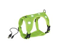 Dog harness Nobby Pet Flash Mesh