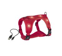Dog harness Nobby Pet Flash Mesh