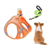 Dog Harness, Portable Set, 7.87in Medium Size Pet Vest, Escape Proof Adjustable Harness, Reflective Safety Straps for Puppies, Kittens, Cats, Hiking, Camping, Adventures