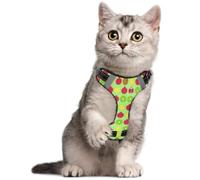 Dog Harness Quick Release M Fresh Sliced Mixed Fruits