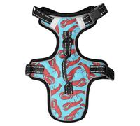 Dog Harness Red Boiled Lobster No Pull Reflective Adjustable Dog Vest with 2 Leash Clips and Easy Control Handle for Small Medium Dogs Cats S