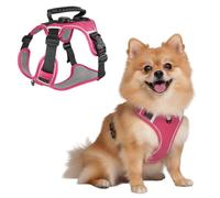 Dog Harness, Reflective Pet Harness with GPS Tracker Pocket & Soft Handle, Breathable & Adjustable Pet Vest for Small-Medium Dogs