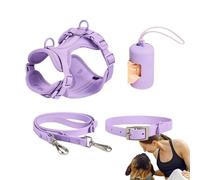 Dog Harness Set for Small Dogs, Dog Harness Set for Medium Dogs, No Pull Dog Harness, Multifunctional Lead Set for Medium, Easy to Foot, for Everyday Use, Adjustable Dog