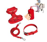Dog Harness Set for Small Dogs, Dog Lead Set, No Pull Dog Harness, Multifunctional Lead Set for Medium Dogs, Easy to Foot, Everyday Adjustable Dog Collar, Fashionable
