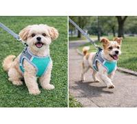 Dog Harness Size Medium,Professional Dog Harness with 2 Leash Clips,Fully Adjustable Soft Pet vest Harness,Reflective and Breathable,Easy Control Handle for Walking and Training (Aqua, Extra Small)