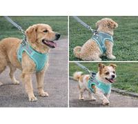 Dog Harness Size Medium,Professional Dog Harness with 2 Leash Clips,Fully Adjustable Soft Pet vest Harness,Reflective and Breathable,Easy Control Handle for Walking and Training (Aqua, Medium)
