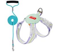 Dog Harness, Small Dog Harness, Set of Rope and Harness for Puppies, Adjustable Small Dog Harness, Breathable, Lightweight Vest, Pet Lead, Combination for Small Dogs