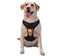 Dog Harness Small Medium Large Sized Dog Easy Walk Satanic Skull Flames Darkness No Pull Dog Harness Adjustable Breathable Reflective Pet Dog Vest for Training Walking Hiking