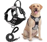 Dog Harness Small Puppies Step-in Soft Mesh Reflective Lightweight Breathable Visible, Comfort For Walking Training(Gray,M)