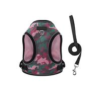 Dog Harness Training Vest Size Without Pull Design with Leash Ideal for Puppy and Small Breeds Small Harness