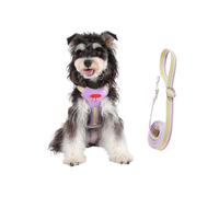 Dog Harness Vest Breathable Reflective Dog Accessories Harness Vest with Training Lead Set for Dogs for Daily Outdoor Activities such as Walking and Shopping with the Puppy