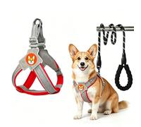 Dog Harness Vest with Lead,Breathable Mesh Pet Vest Harness for Small Medium Large Dogs,Escape Proof Adjustable Reflective Harness with Handle for Walking Training(Red) (XL)