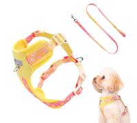 Dog Harness, Walking Harness, Breathable Adjustable Vest with 6.69x9.84x0.39 Inches, Outdoor Gear for Sports, Park, Small Breed, Hiking, Adventure, Service Work, Car Travel