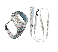 Dog Harness with Lead for Smaller Dogs Arizona Hotdogs Soft Harness Coconut Lead Nylon 1.5 m Coconut Pattern Light Blue (S)