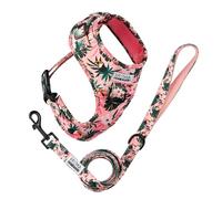 Dog Harness with Lead for Smaller Dogs, Arizona Hotdogs Tropicool Soft Harness, Nylon Lead, 1.5 m, (S)
