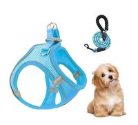 Dog Harness with Leads, Reflective Anti-Choke Pet Vest Harness, Breathable Escape Proof Harness for Puppies, Kittens, Hikes, Vets, Camping, Training