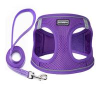 Dog Harness with Leash Adjustable No Pull Reflective Puppy Vest for Small Medium Large Dogs Cats, Purple, XXS